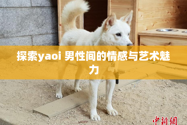 探索yaoi 男性间的情感与艺术魅力