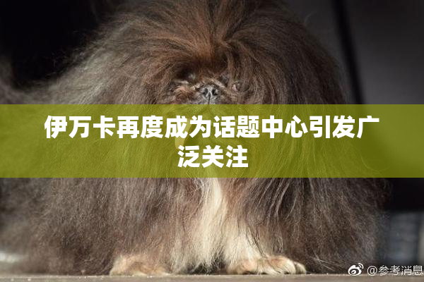伊万卡再度成为话题中心引发广泛关注