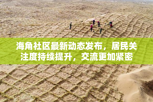 海角社区最新动态发布，居民关注度持续提升，交流更加紧密