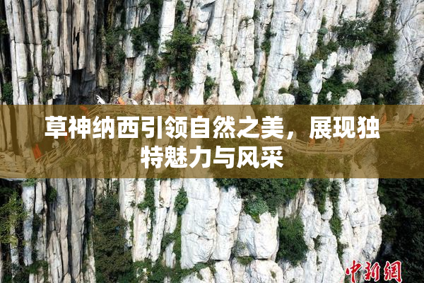 草神纳西引领自然之美，展现独特魅力与风采