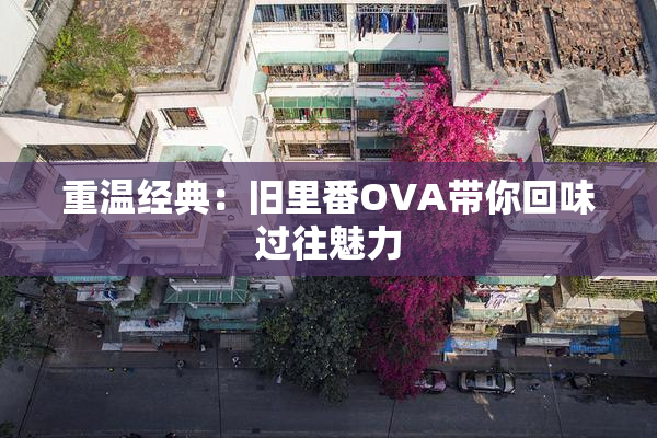 重温经典：旧里番OVA带你回味过往魅力