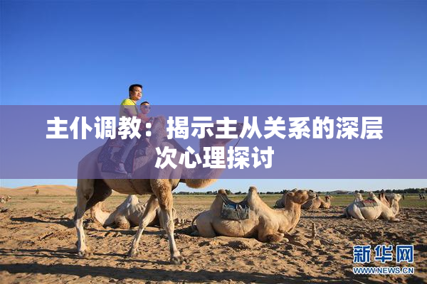 主仆调教：揭示主从关系的深层次心理探讨