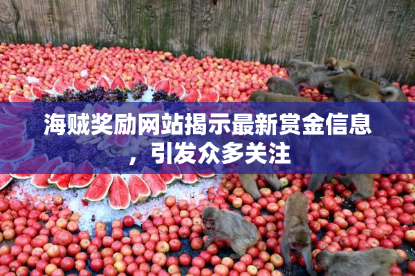 海贼奖励网站揭示最新赏金信息，引发众多关注