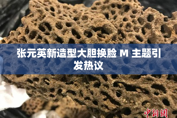 张元英新造型大胆换脸 M 主题引发热议