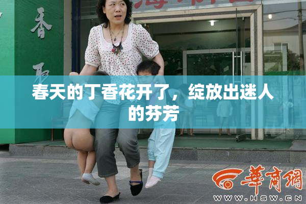 春天的丁香花开了，绽放出迷人的芬芳