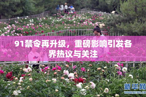 91禁令再升级，重磅影响引发各界热议与关注
