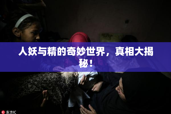 人妖与精的奇妙世界，真相大揭秘！
