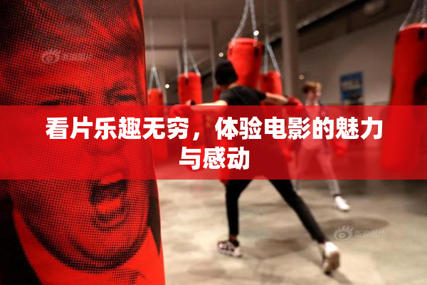 看片乐趣无穷，体验电影的魅力与感动