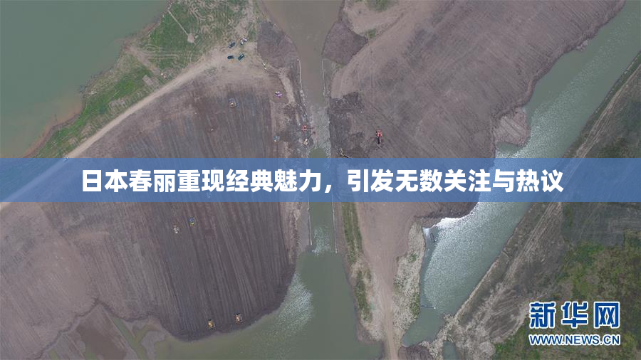 日本春丽重现经典魅力，引发无数关注与热议