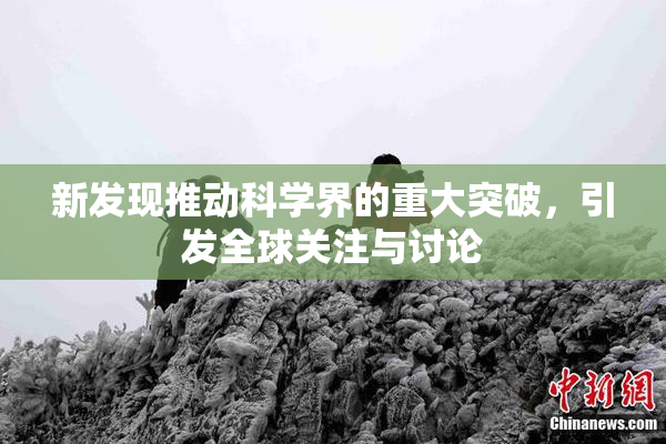 新发现推动科学界的重大突破，引发全球关注与讨论