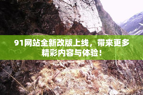 91网站全新改版上线，带来更多精彩内容与体验！