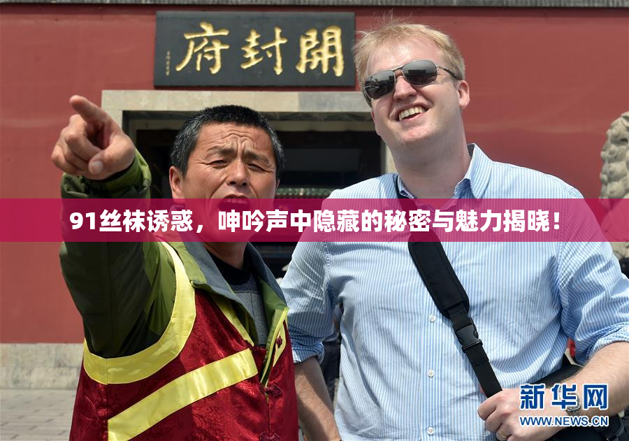 91丝袜诱惑，呻吟声中隐藏的秘密与魅力揭晓！