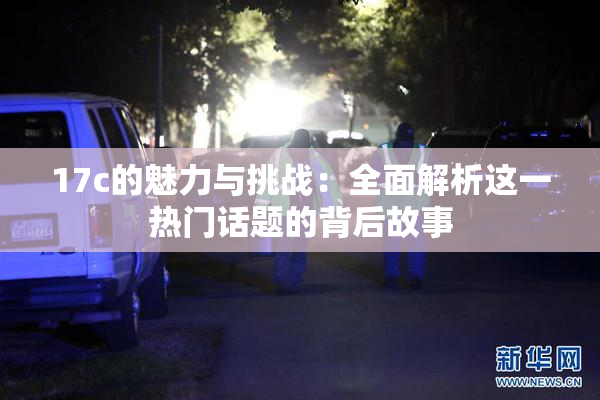 17c的魅力与挑战：全面解析这一热门话题的背后故事