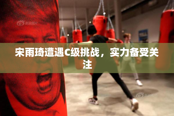 宋雨琦遭遇C级挑战，实力备受关注