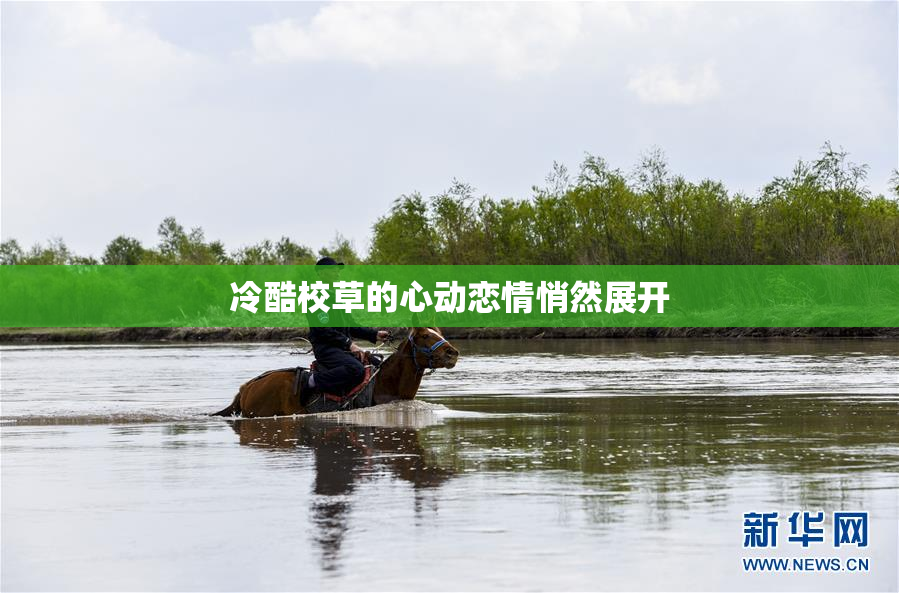 冷酷校草的心动恋情悄然展开