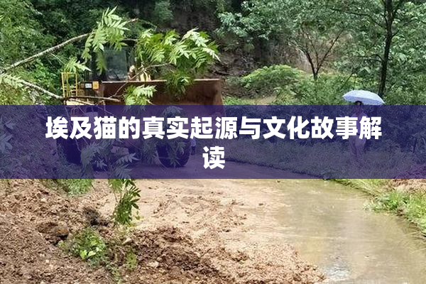 埃及猫的真实起源与文化故事解读