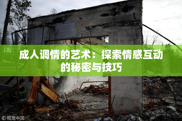 成人调情的艺术：探索情感互动的秘密与技巧