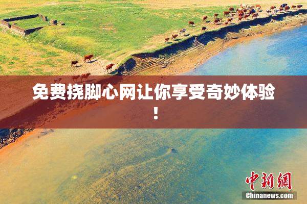 免费挠脚心网让你享受奇妙体验！