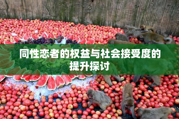 同性恋者的权益与社会接受度的提升探讨