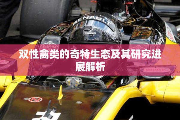 双性禽类的奇特生态及其研究进展解析