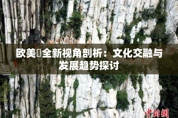 欧美巜全新视角剖析：文化交融与发展趋势探讨