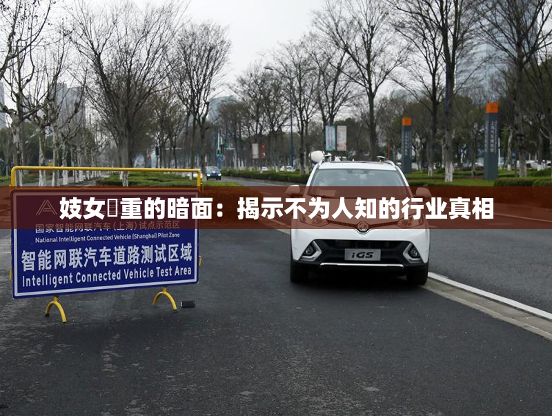 妓女梱重的暗面：揭示不为人知的行业真相