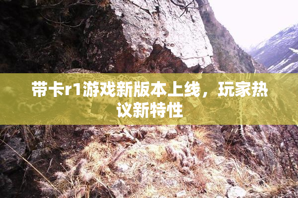 带卡r1游戏新版本上线，玩家热议新特性