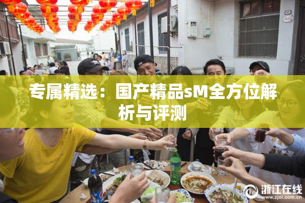 专属精选：国产精品sM全方位解析与评测