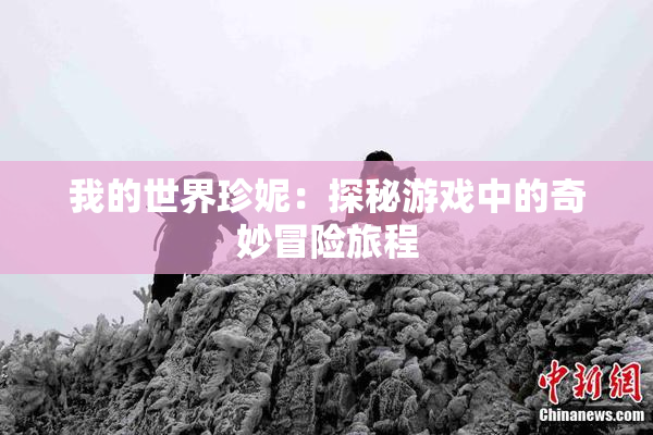 我的世界珍妮：探秘游戏中的奇妙冒险旅程