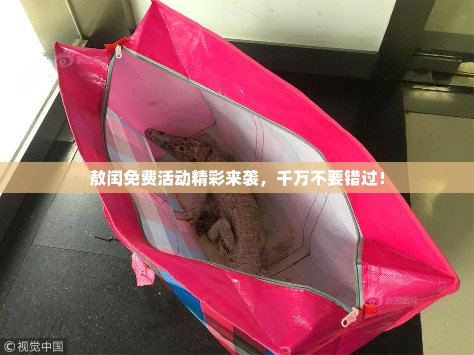 敖闰免费活动精彩来袭，千万不要错过！