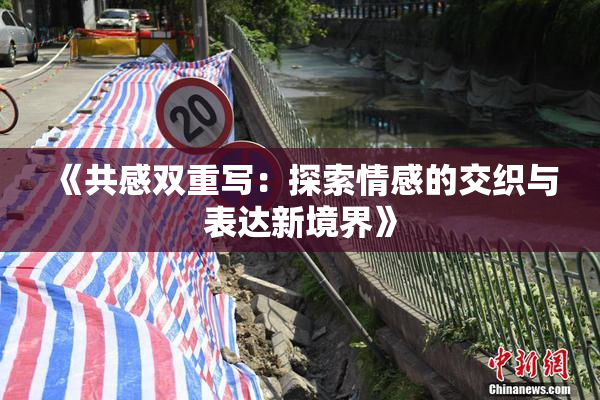 《共感双重写：探索情感的交织与表达新境界》