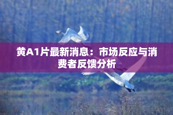 黄A1片最新消息：市场反应与消费者反馈分析