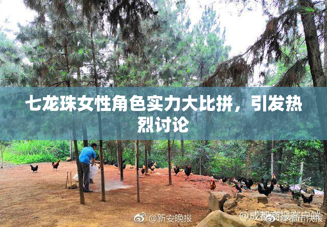 七龙珠女性角色实力大比拼，引发热烈讨论