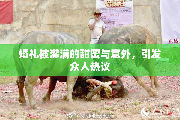 婚礼被灌满的甜蜜与意外，引发众人热议