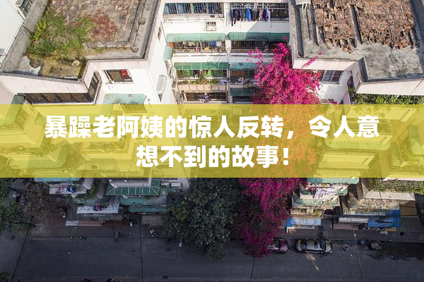 暴躁老阿姨的惊人反转，令人意想不到的故事！