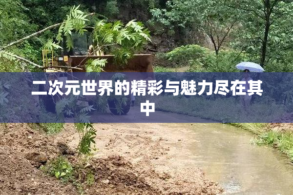 二次元世界的精彩与魅力尽在其中