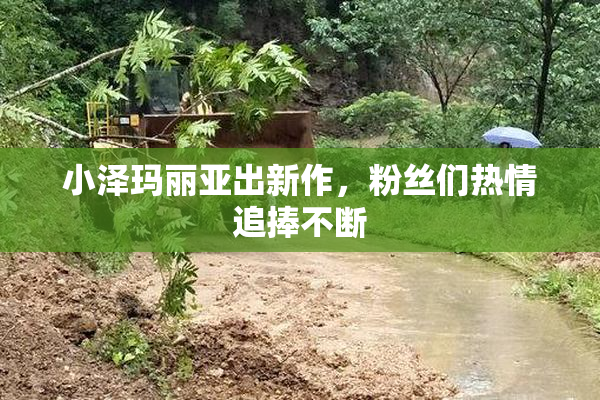 小泽玛丽亚出新作，粉丝们热情追捧不断
