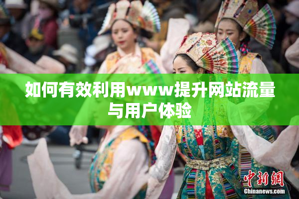 如何有效利用www提升网站流量与用户体验