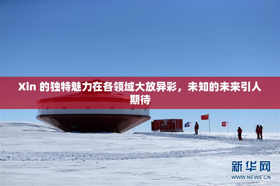 Xin 的独特魅力在各领域大放异彩，未知的未来引人期待