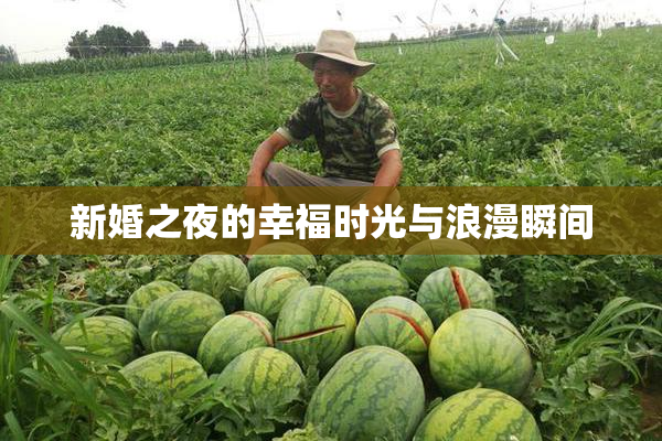 新婚之夜的幸福时光与浪漫瞬间