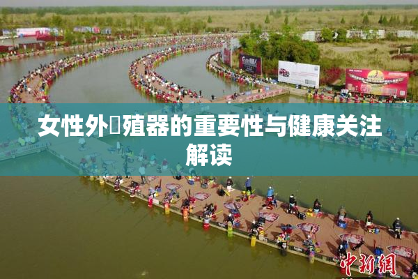 女性外夝殖器的重要性与健康关注解读