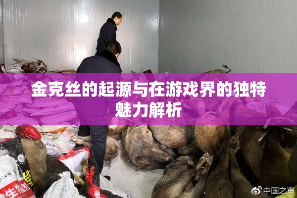 金克丝的起源与在游戏界的独特魅力解析