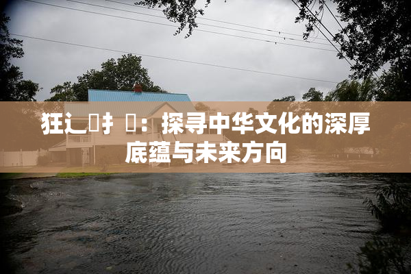 狂辶喿扌畐：探寻中华文化的深厚底蕴与未来方向