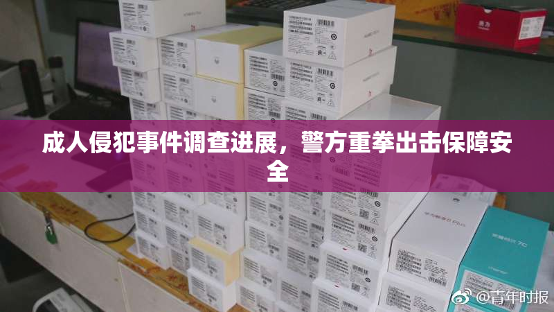 成人侵犯事件调查进展，警方重拳出击保障安全