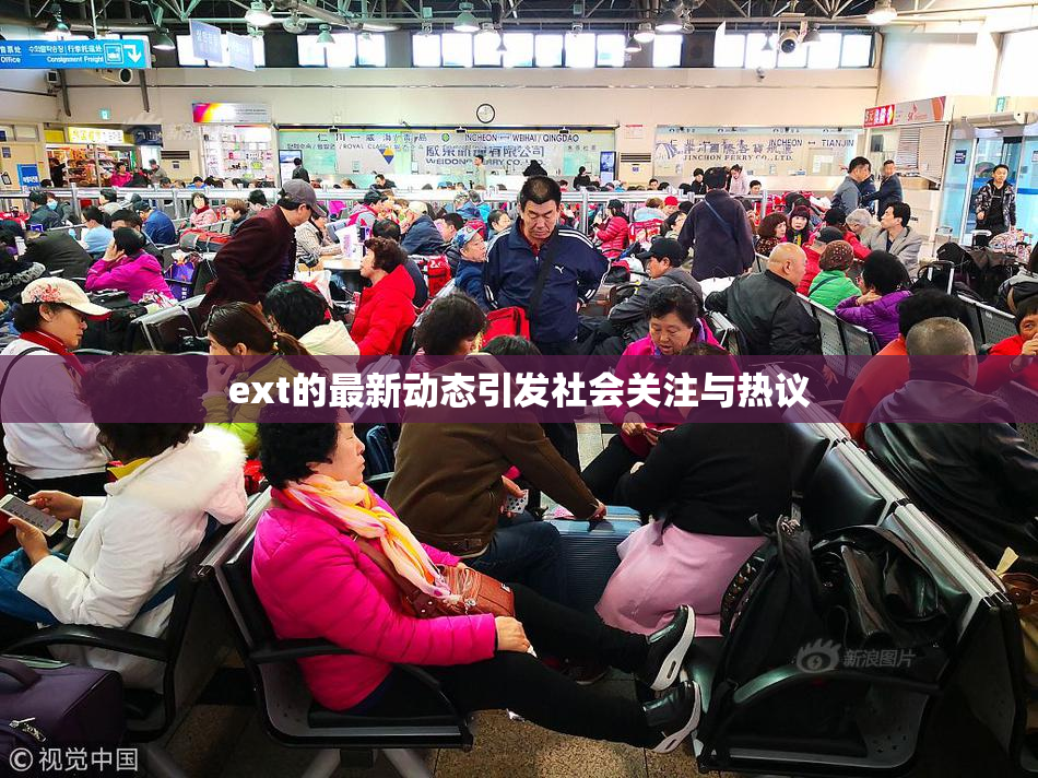ext的最新动态引发社会关注与热议