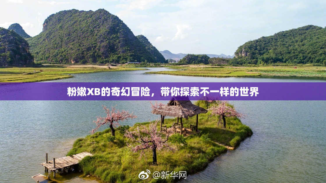 粉嫩XB的奇幻冒险，带你探索不一样的世界
