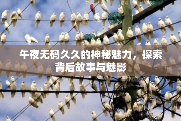 午夜无码久久的神秘魅力，探索背后故事与魅影