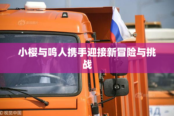 小樱与鸣人携手迎接新冒险与挑战