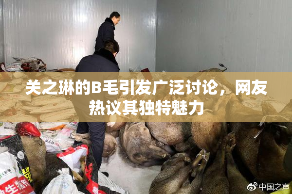关之琳的B毛引发广泛讨论，网友热议其独特魅力