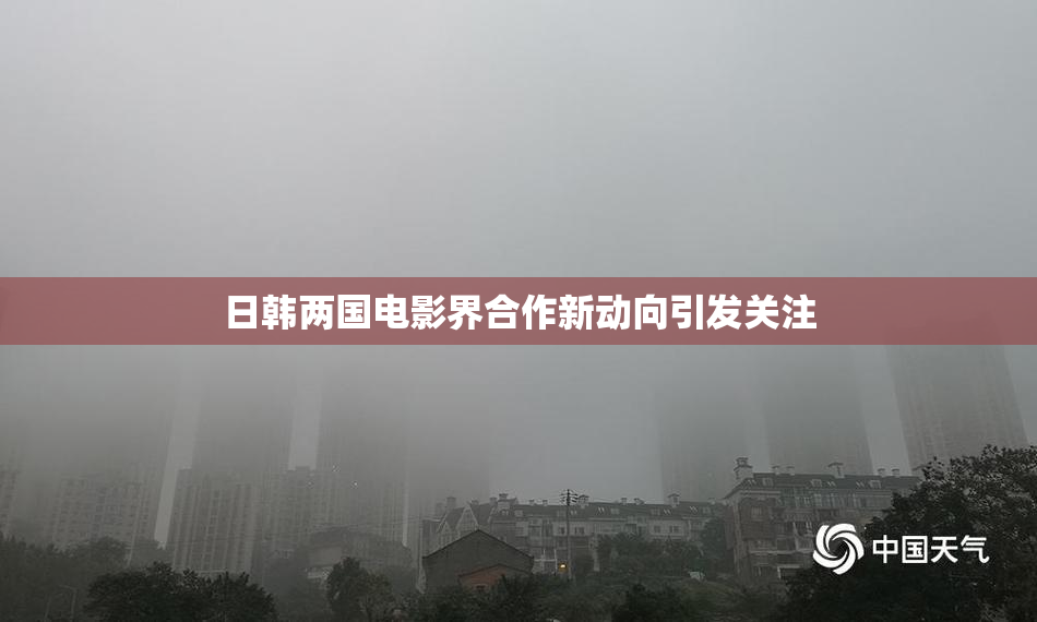 日韩两国电影界合作新动向引发关注